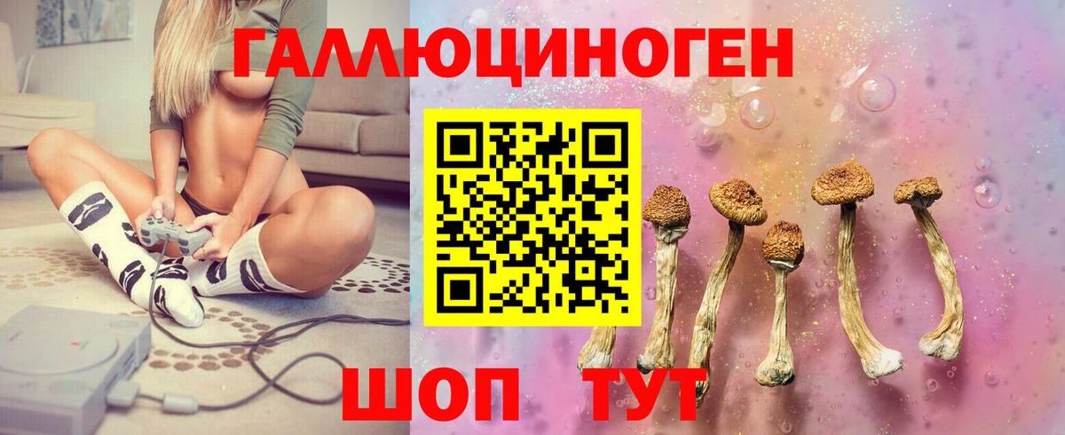 где купить наркотик  Вход с VPN  Борисоглебск  Галлюциногенные грибы Psilocybine cubensis 